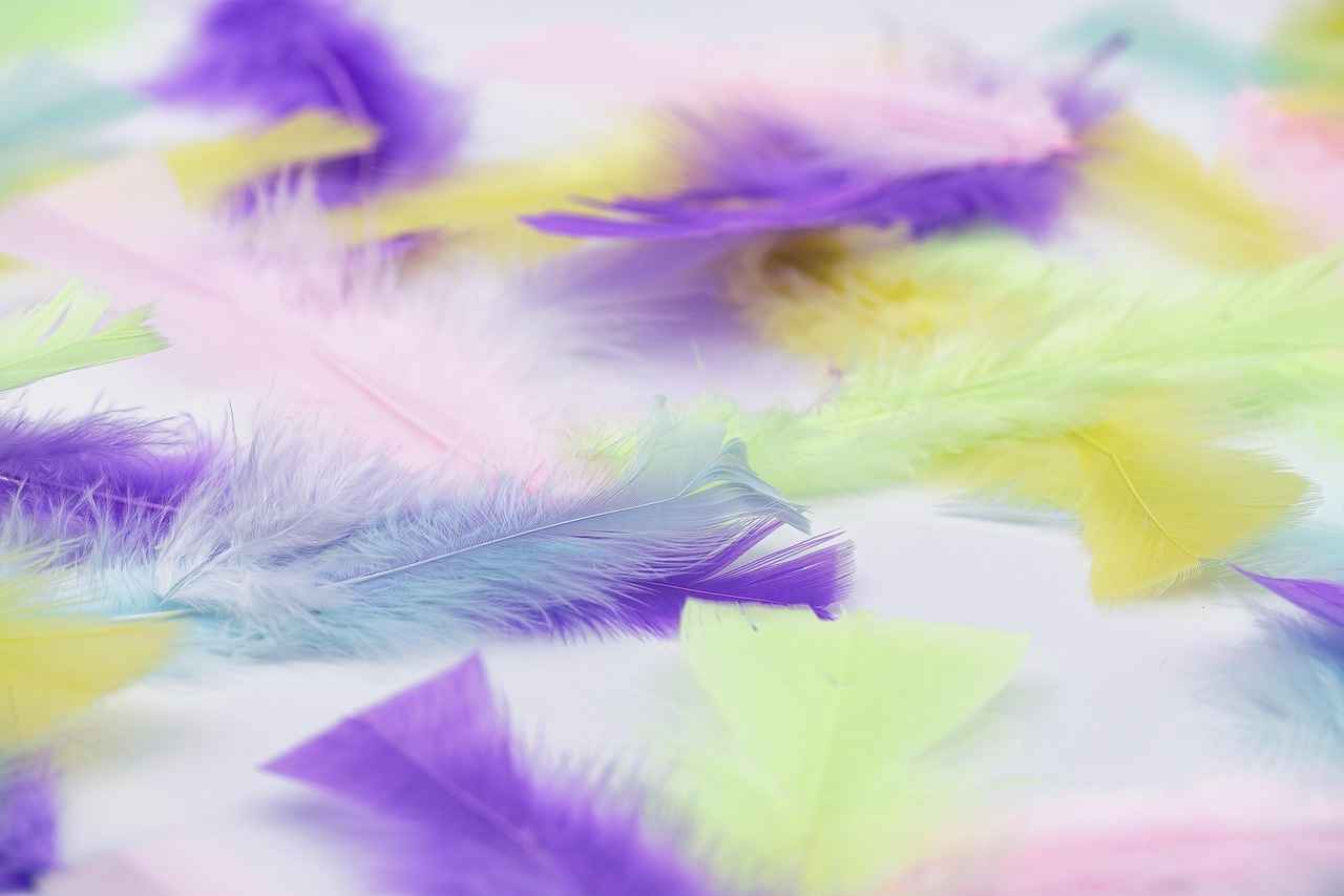 Customer Reviews: What Do Users Say?