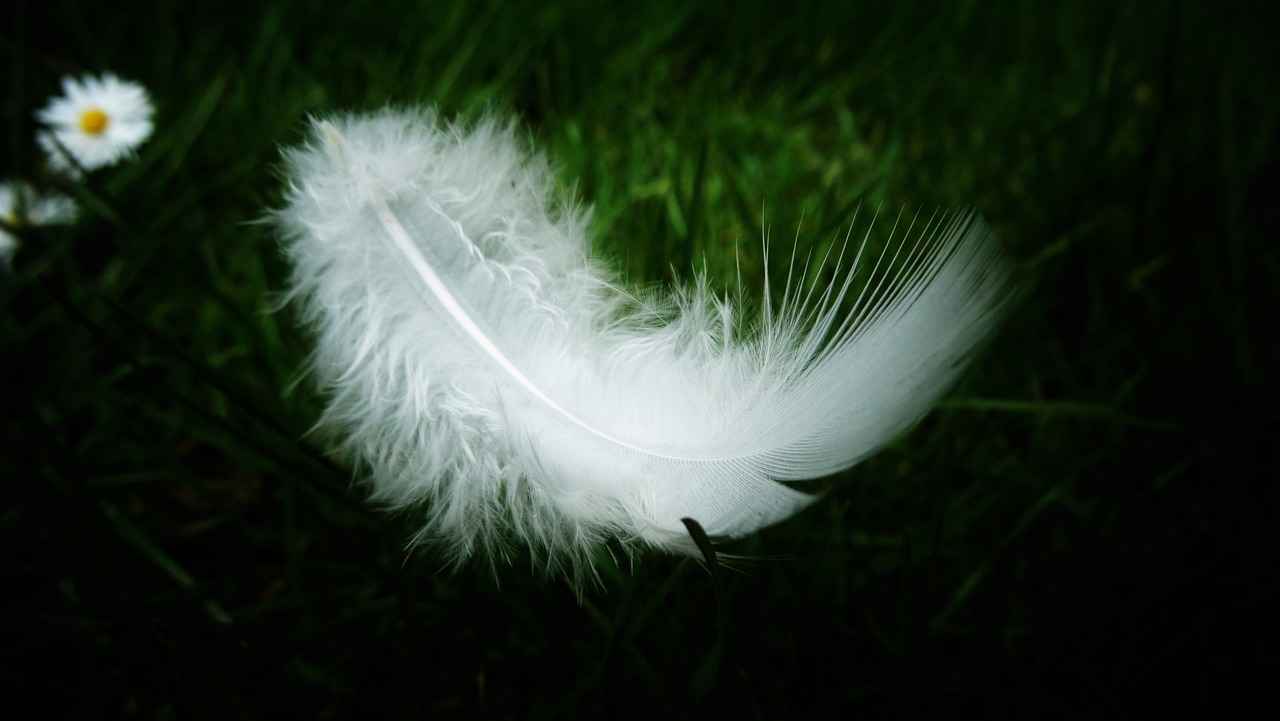 Best Colors and Patterns for Summer Nights