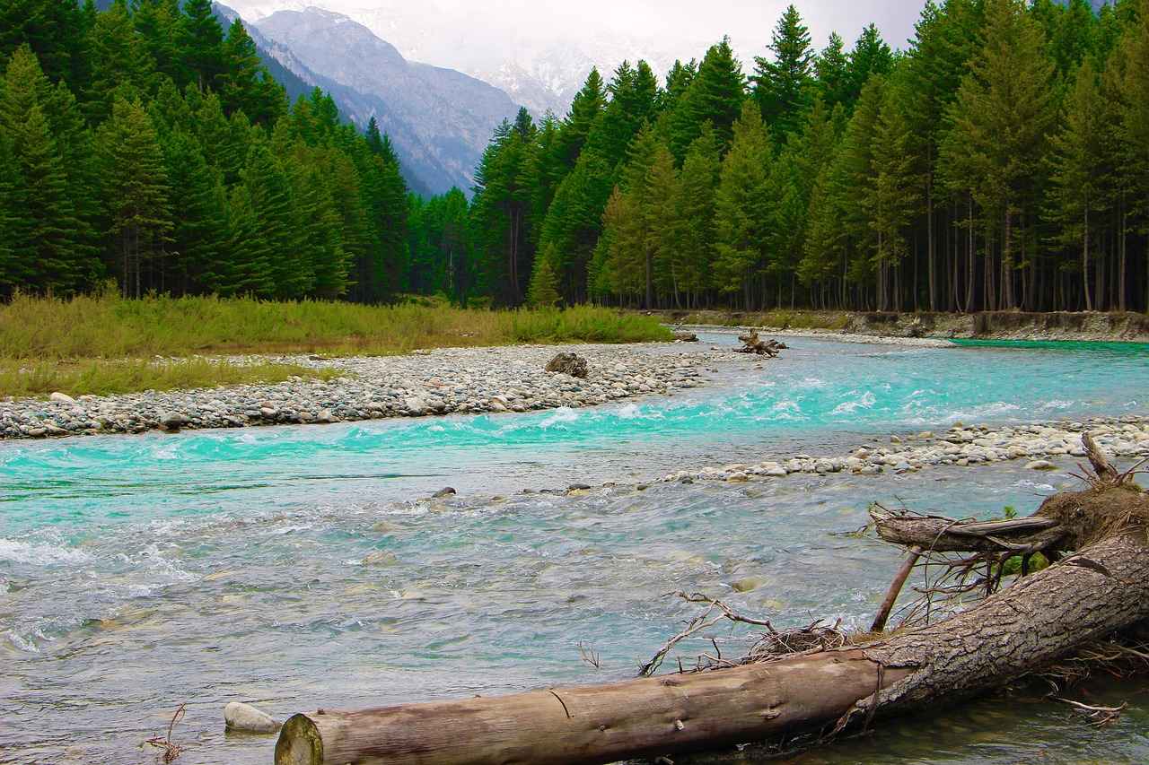 What Makes a Celebrity Night Dress Controversial?