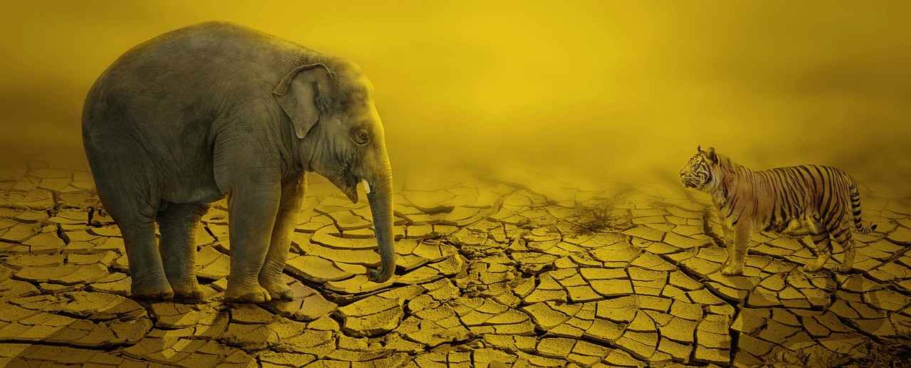 Why Dry Cleaning May Not Be the Best Option for Your Slip Dress 1 What Is Dry Cleaning and How Does It Work?