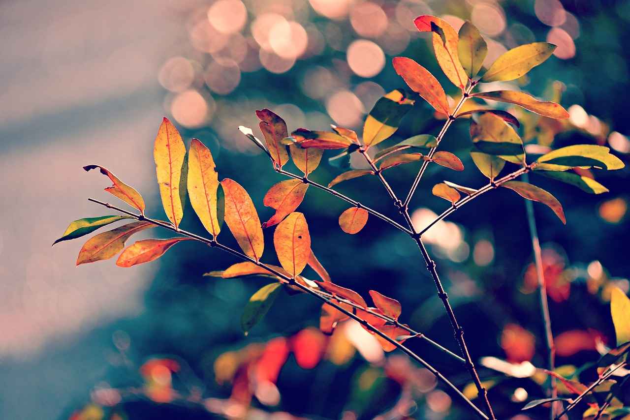Color Palettes for Fall Slip Dresses
