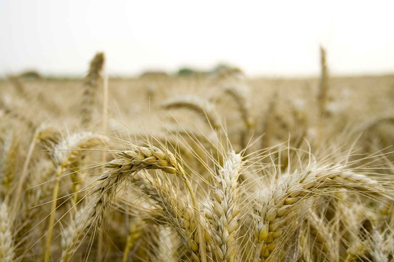 How to Create a Seasonal Rotation System?