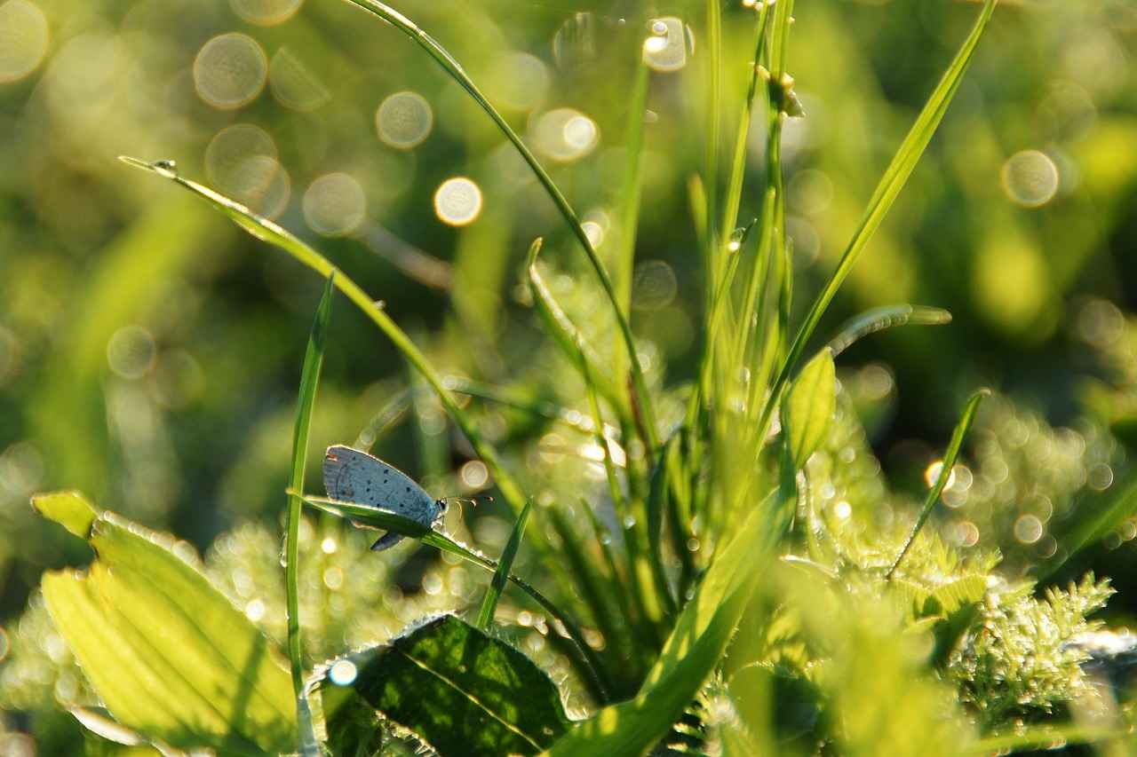 What Makes a Night Dress Eco-Friendly?