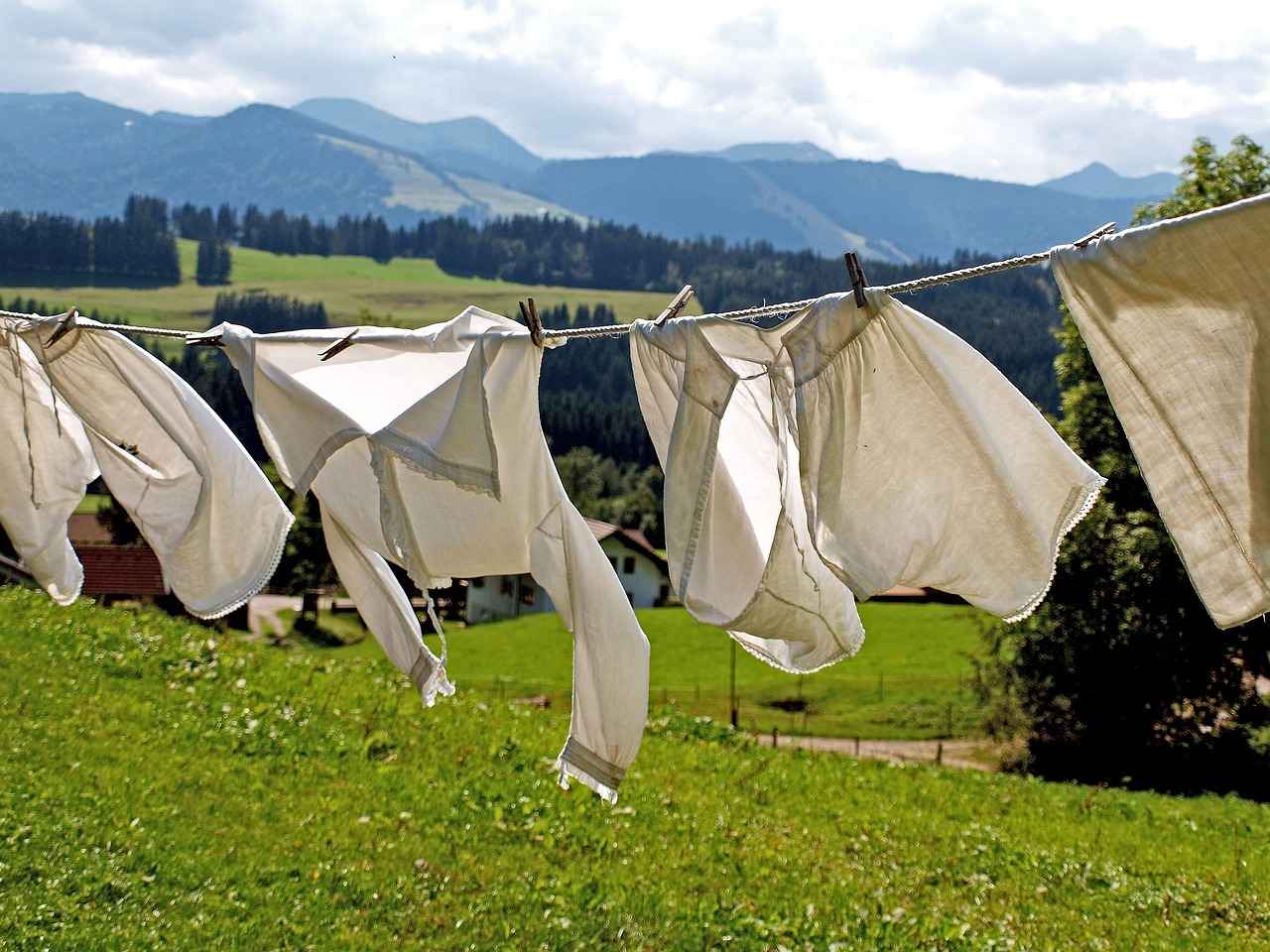 Top Features to Look for in Detergents
