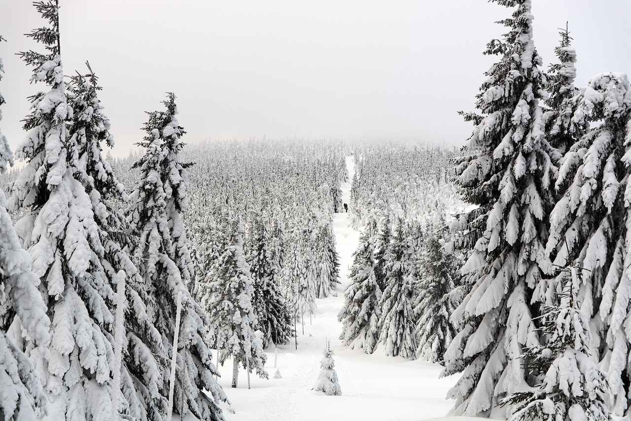 The Ultimate Winter Night Dress Guide: Stay Warm and Chic