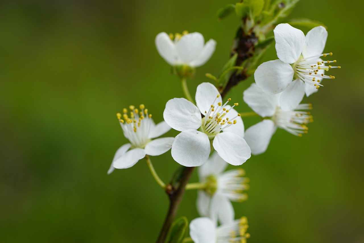 How to Style Floral Slip Dresses for Different Occasions?