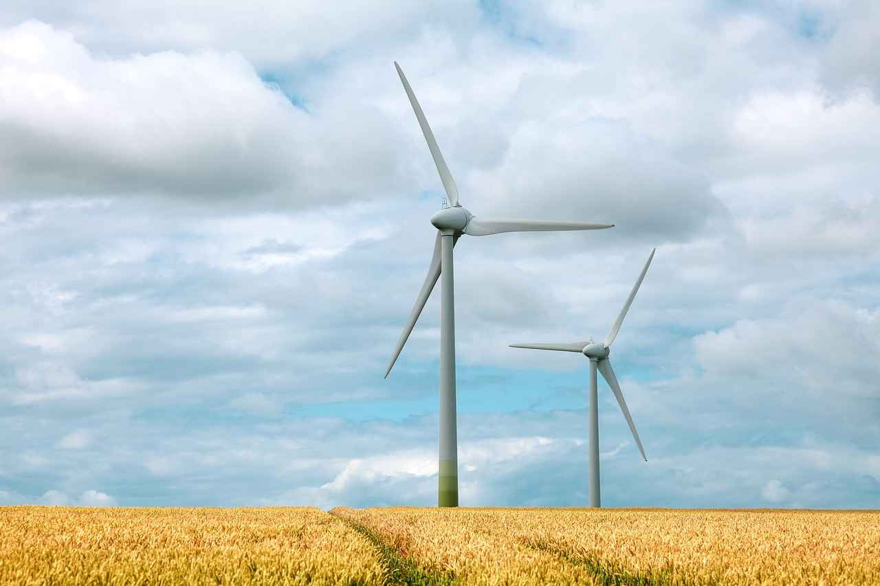 What Are the Environmental Impacts of Chemical Fabrics?