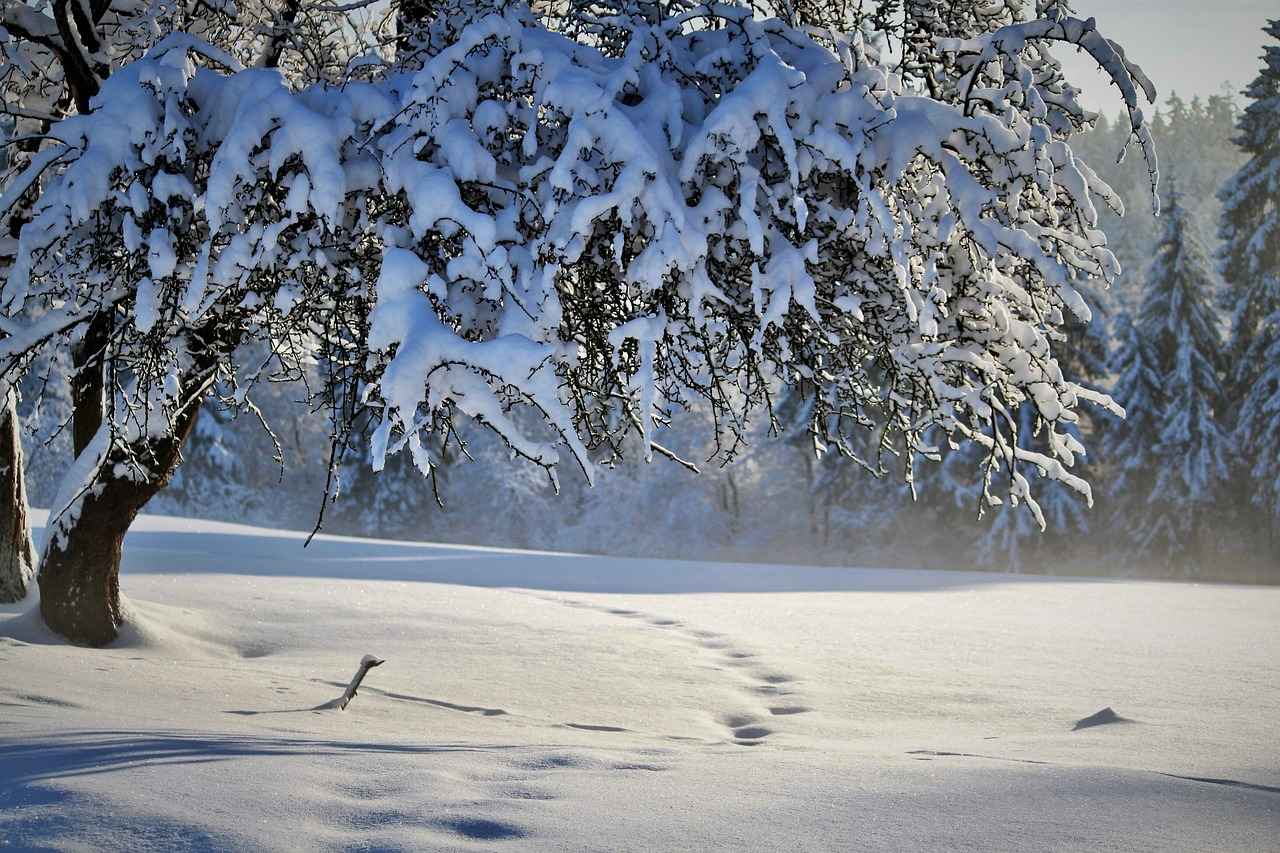 Maintaining Your Slip Dress in Winter